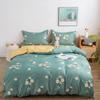 Thickened Brushed Four-piece Bed Sheet and Quilt Cover Three-piece Set Four-season Autumn and Winter Bedding Duvet Cover