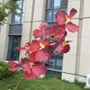 9 Heads Vanda Orchids Artificial Flowers Faux Silk Flowers for Wedding Home Decor Photography Props