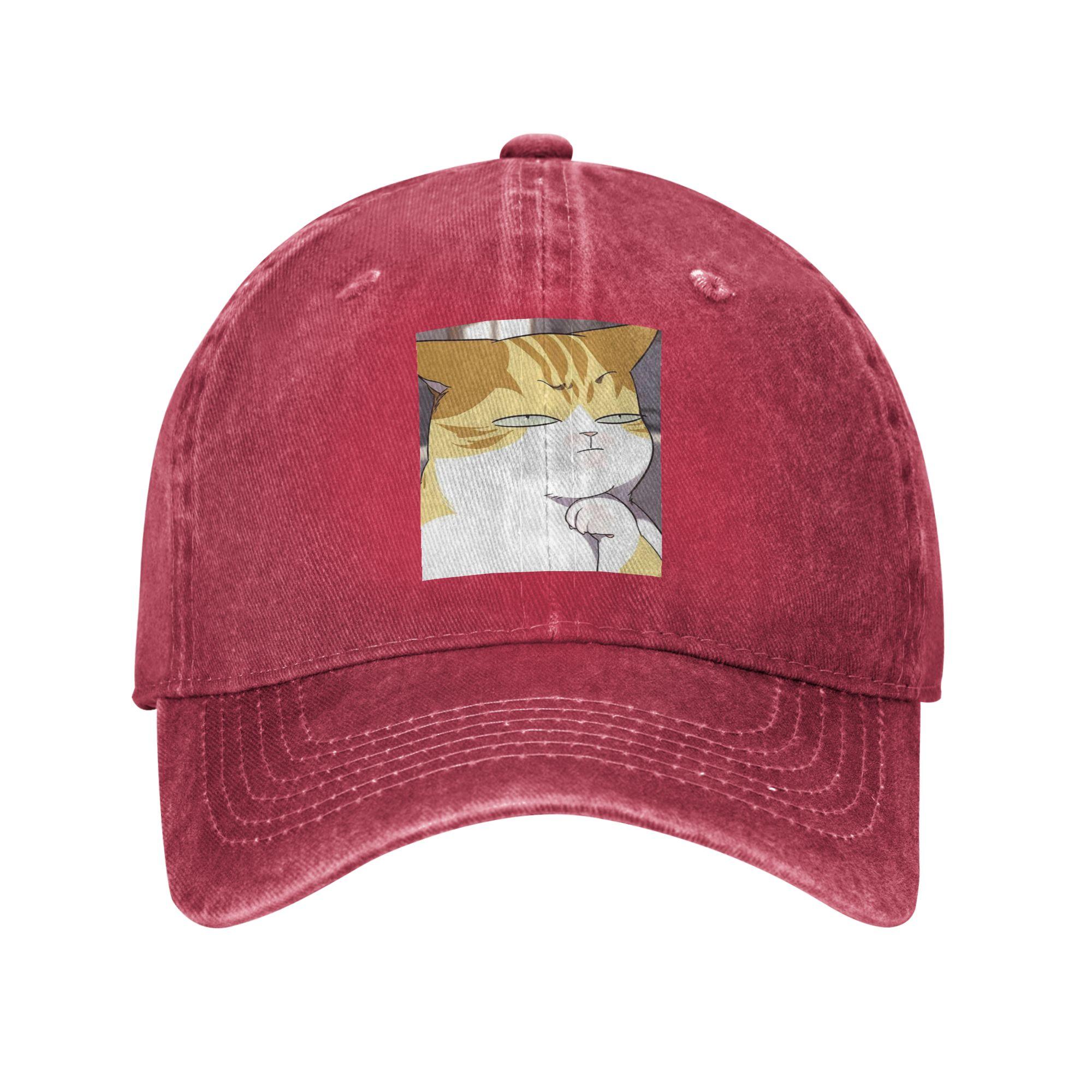 

Кепки Snapback с изображением Кайдена в форме кота из Eleceed, вымытые джинсовые кепки, регулируемые кепки, спортивные бейсболки, ковбойские шляпы для унисекс, женщин One Size