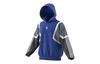 Originals Sweatshirts Men's Blue Hooded Moderate Other CE4802