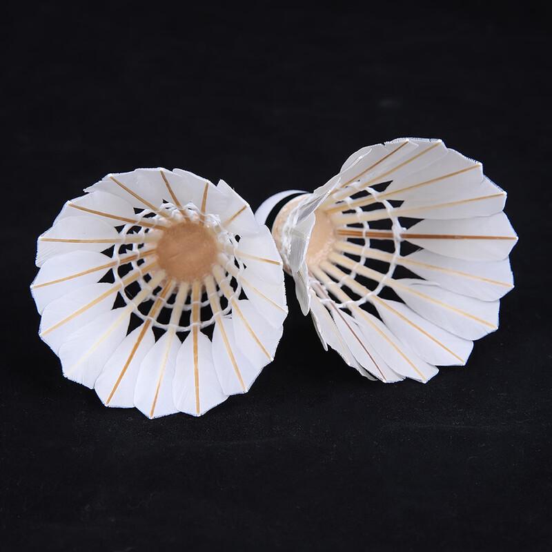 Confezione da 12 Volani da Badminton Mussel