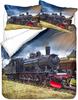 3D Train Digital Printing Duvet Cover Set, Retro Steam Train Theme Bedding Set Microfiber Duvet Set Train Track Pillowcases