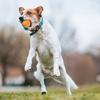 Toy Ball for Pets - Interactive Dog Toys  Jolly Ball  Herding Ball for Dogs - Dual Mode Design