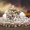 Halloween Skull Resin Ornament Set: 40-Piece Micro Landscape Décor & Flower Pot Paving Stones.