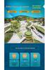 Children's Large Outdoor Stainless Steel Slide for Parks and Residential Areas - Non-Powered Play Equipment