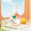 Dettol Foaming Antibacterial Hand Wash, Grapefruit Scent