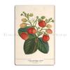 Strawberry Metal Plaque Poster Wall Mural Garage Designs Club Bar Pub Tin Sign Poster