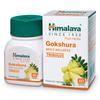 Gokshura Ayurvedic Tablets For Men | 60 Tablets Each | Pack of 3, Total 180 Tablets