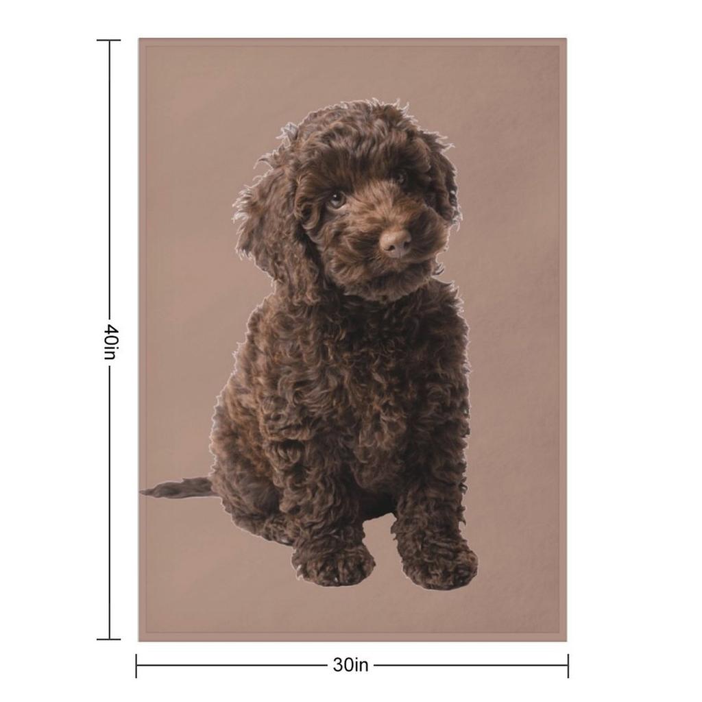 Labradoodle Throw Blanket Comforter Weighted Soft Big For Sofa Thin Blankets