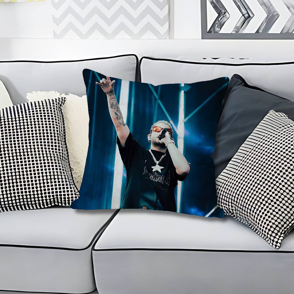 

Singer DDei V Underwater Anime Celebrity Merchandise AllMatch Printed Pillow Case Sofa Car Office Room Decoration Protector 30x30cm