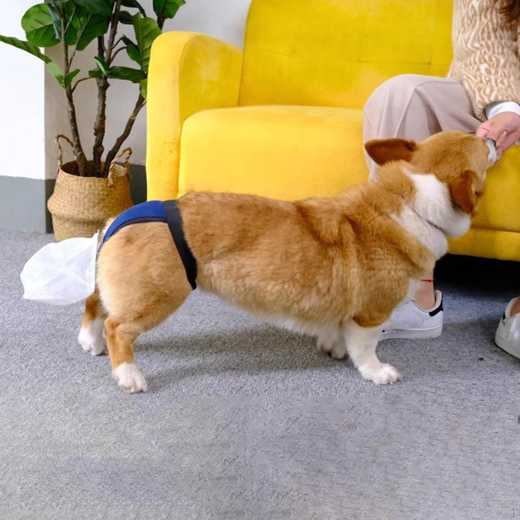 Psí hovínka Kalhoty Prodyšné Přenosné Nositelné Praktické Pohodlné Dávkovač sáčků Sběr odpadu