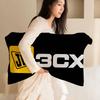 Classic Credit Card J-Jcb LOGO Quick-Dry Polyester Pillowcase For Adult Women, Anti-Oil, Non-Slip, Sweat-Absorbent, Home Use
