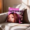 COOL N MMurder DDrones   Pillow Case Pattern Printed Pillowcase For Living Room Sofa Cushion Cover