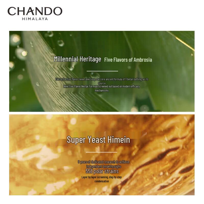 CHANDO Scalp Care Shampoo & Conditioner Collection