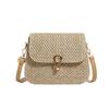 Chic Minimalist Small Sling Bag 2024 New Spring Straw Bag Korean Shoulder Crossbody