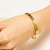 European Retro Zirconium & Titanium Bracelet - Fashionable, Versatile, Durable Gold Finish