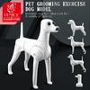 Fenice Animale Domestico Simulazione Toelettatura Cane Finto Modello Cane Modello Scheletrico Standard Cane Corpo Intero Pelo Finto