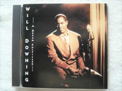 CD WILL DOWNING - Dream Fulfilled PSCD1096 Island Records 1991 Japan Jazz Used