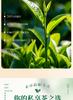 Jieying Green Tea Mingqian Xinyang Original Maojian 2026 New Tea Spot Tea Gift Box 250g High End Free
