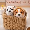 New Dalmatians Dog Plush Toy Cute Stuffed Realistic Beagle Spotted Puppy Doll Home Decor High Quality Birthday Gift