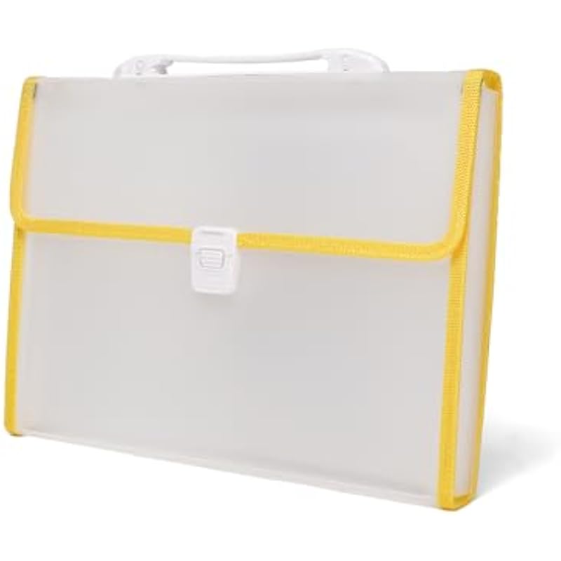 Neomate Expanding File Folder with Handle | 13-Pocket A4/FS Size Document and Certificate Organizer | Transparent Accord