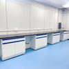 Acid & Alkali Resistant Steel-Wood Laboratory Workbench