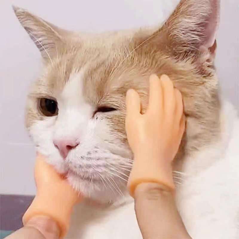 6pcs/set Mini Hands Model Tiny Hands Cat Massage Tool Funny Gloves Finger Gloves Little Finger Cat Toy Pet Interactive Toys