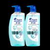 Head & Shoulders Anti-Dandruff Oil Control Volumizing Shampoo