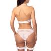 Women Lace Sexy Semi Transparent Hollow Underwear Sets