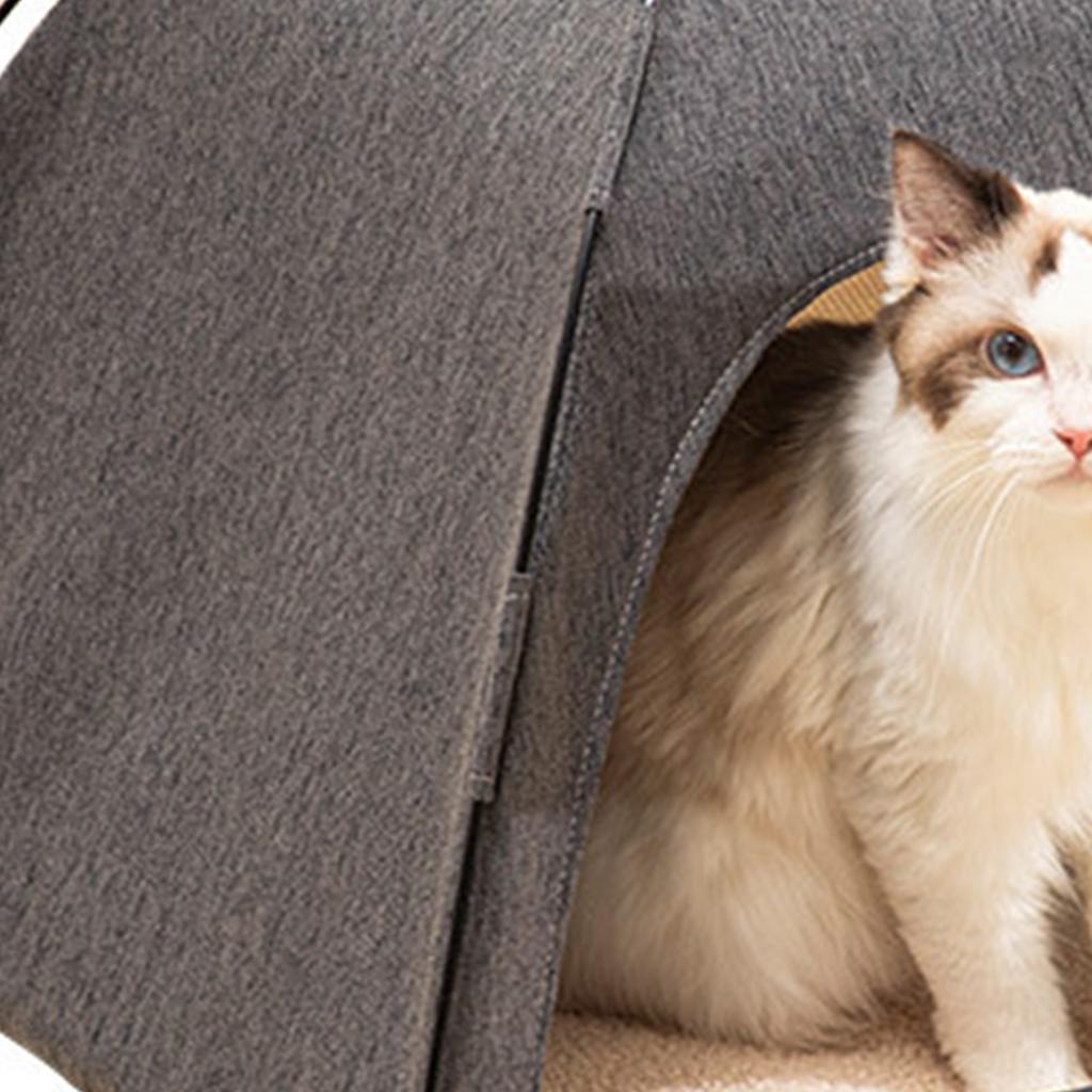 Cat Tent Bed Large Space Breathable Comfortable Washable Pet Tent House for Pet Cat Dog All Seasons S Size