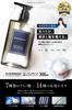 EVERSKIN Rich Foam Scalp Shampoo for Amino Acid Fragrance Made In Japan Men, Shampoo, Treatment, Shampoo, Organic, Silicone-Free, Gift, 300ml,