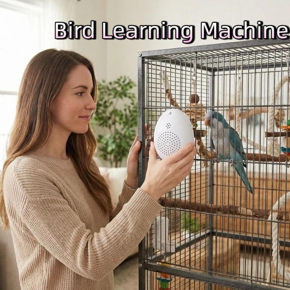 Playback Parrot Teach Talking Interactive Speech Training Machine Bird Repeater Games Playing