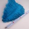 10Pcs 30-35cm Ostrich Feathers for Crafts Wedding Decoration 12-14" Handicraft Accessories Table Centerpieces Carnival Plumas
