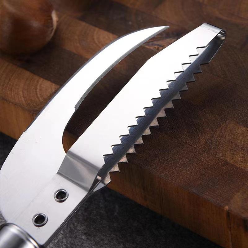 Mehrzweck-Fischschupper und Bauchmesser aus Edelstahl