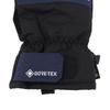 Men's SATURN GORE-TEX Snow Gloves (BE237730)