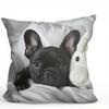 Französische Bulldogge Gemustert Beidseitig Bedruckt Kissenbezug Kurzer Plüsch Geeignet für Wohnzimmer Schlafzimmer Sofas Wurfkissenbezug