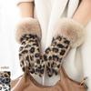 Windproof Leopard Print Gloves Velvet Cycling Mittens Fashion Women Gloves  Winter