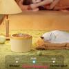 3L Pet Water Fountain Automatic Multiple Filtration Cat Water Dispenser with LED Light Silent USB Dog Drinker Anti-Dry Cat Bowl