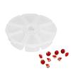 8 Grids Empty Nail Art Decoration Rhinestone Gem Bead Container Nail Supplies Storage Box