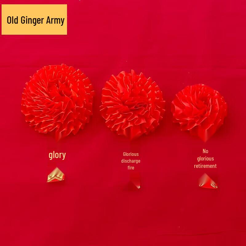 Military Retirement Honorary Brooch