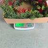 Artificial Flocked Christmas Wreath with Red Berries and Needle Twig - Hanging Decor for Door Wall Window, 55cm