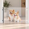 Retractable Pet Barrier Transparent Dog Gate with Hooks Extendable for Hallways