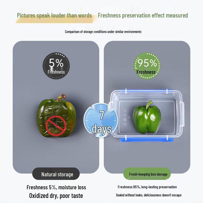 ZISIZ Transparent Rectangular Plastic Food Storage Container