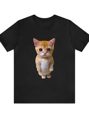 El Gato Meme Sad Crying Cat Munchkin Kitty Meme Trendy T-Shirt, Couple Clot