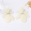 Simple fashion elegant temperament irregular geometric shape resin white plate earrings light luxury women's earrings