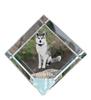 Akita, Akita Inu - Crystal Cube with a Photo, Photo of a Horse In Crystal, Cubic Paperweight from Brand