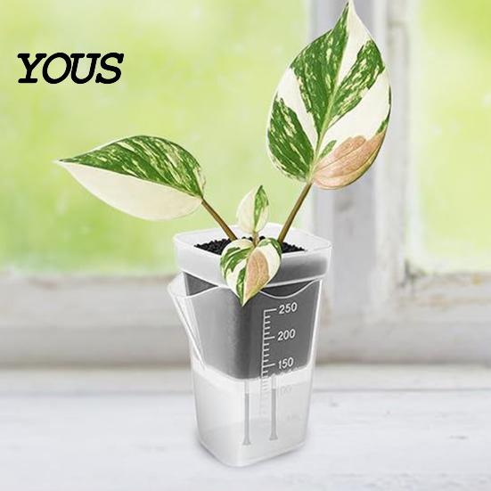 Automatic Watering Flower Pot Mini Self Pots with Wick, Clear Plastic Planters Drainage Holes & Water Level Indicator for Indoor Plants