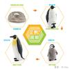 Simulation Marine Animal Growth Cycle Model Octopus Starfish Penguin Growth Process Landscape Ornament Toy