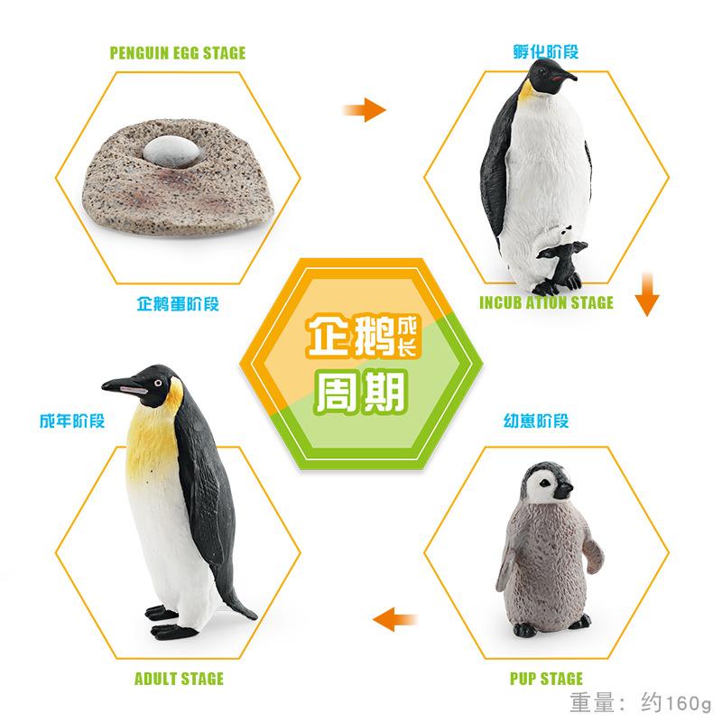 Simulation Marine Animal Growth Cycle Model Octopus Starfish Penguin Growth Process Landscape Ornament Toy