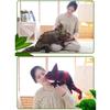 Color Changing Lizard Plush Toy Stuffed Animal Doll Funny Creative Gift Wholesale Factory Night Market